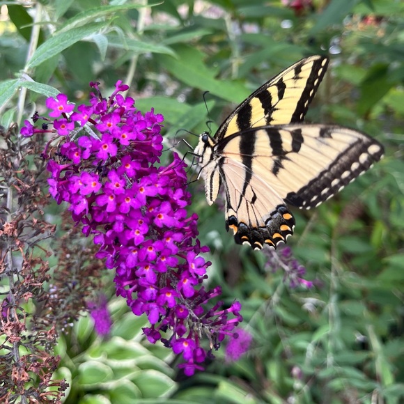 Meet your Posher, Karen - Picture 6 of 10